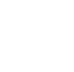 Ansitzromani logo weiss